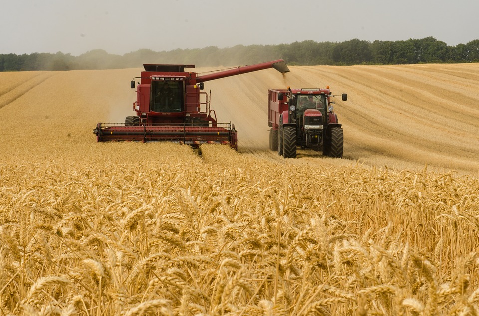 Read more about the article Uncertainty in the Wheat Markets